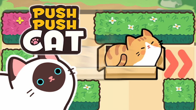 Push Push Cat